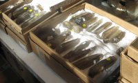 img_0024aa