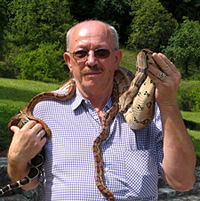 turnšek