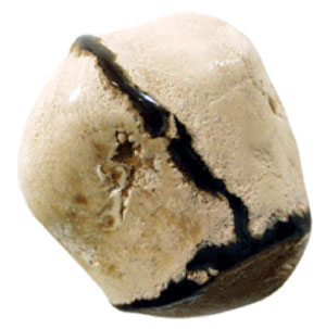 zvezdasti ahat