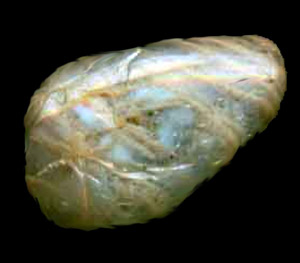 lunin kamen2