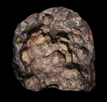 meteorit